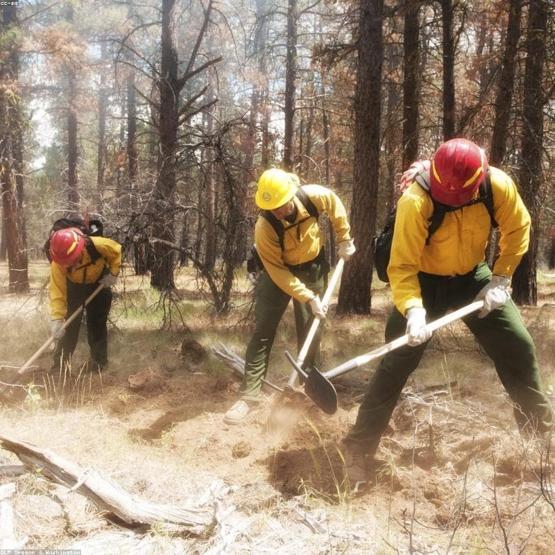 Centrale de détection incendie adressable 4 boucles